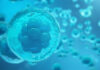 Medicina regenerativa y células madre Medicina regenerativa y células madre
