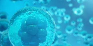 Medicina regenerativa y células madre Medicina regenerativa y células madre
