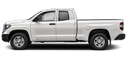 tundra
