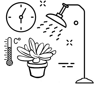 uchod